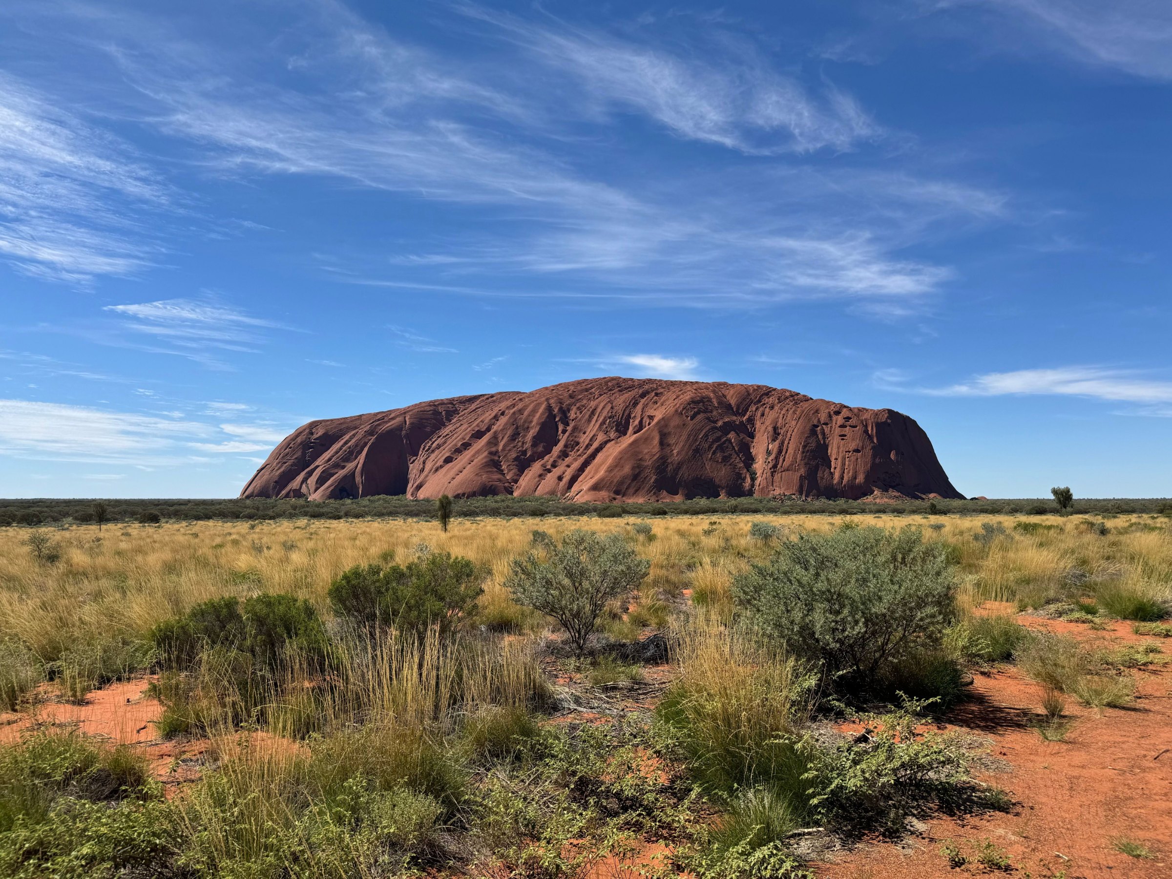 Uluru rising above the grassland and red earth of the Red Centre