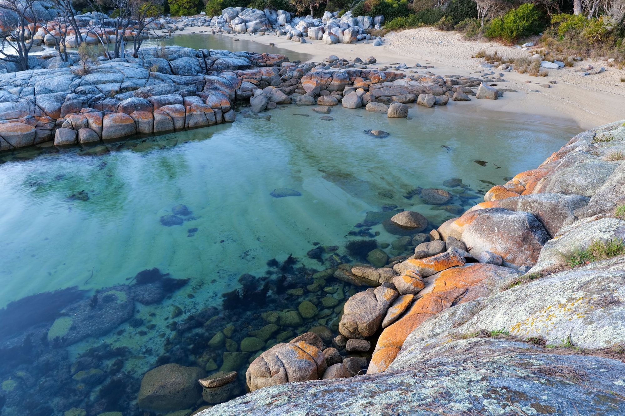 Orange lichen-covered granite and clear water at the Bay of Fires