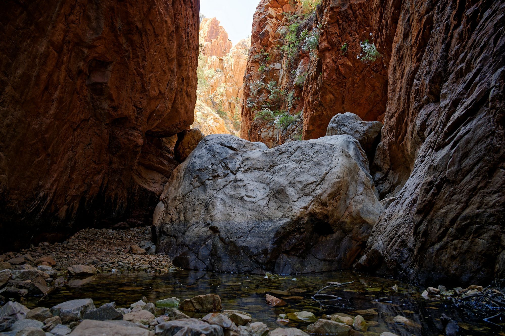 Red rock walls of a gorge in Central Australia
