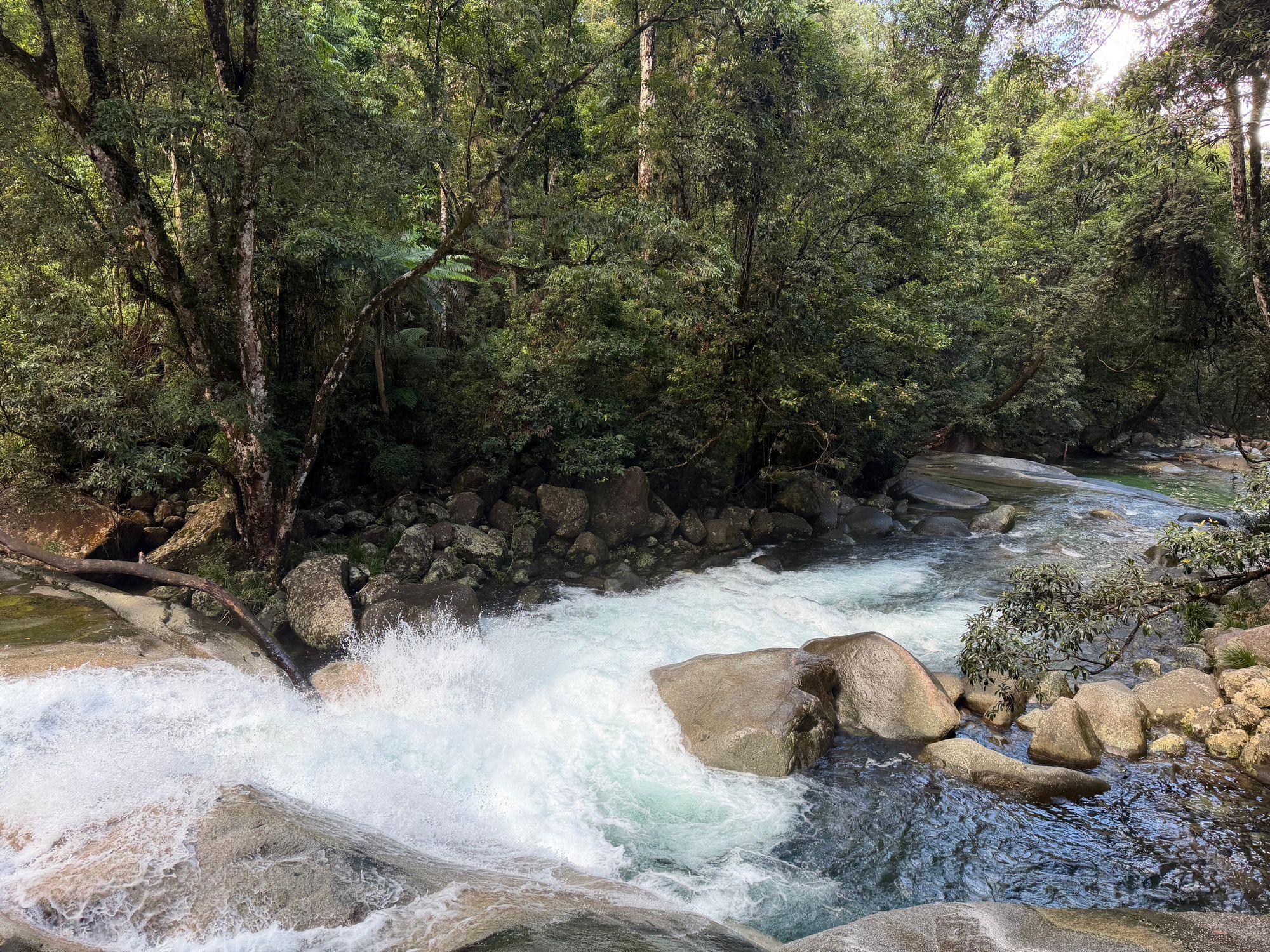 A rainforest creek tumbling over boulders in Daintree National Park