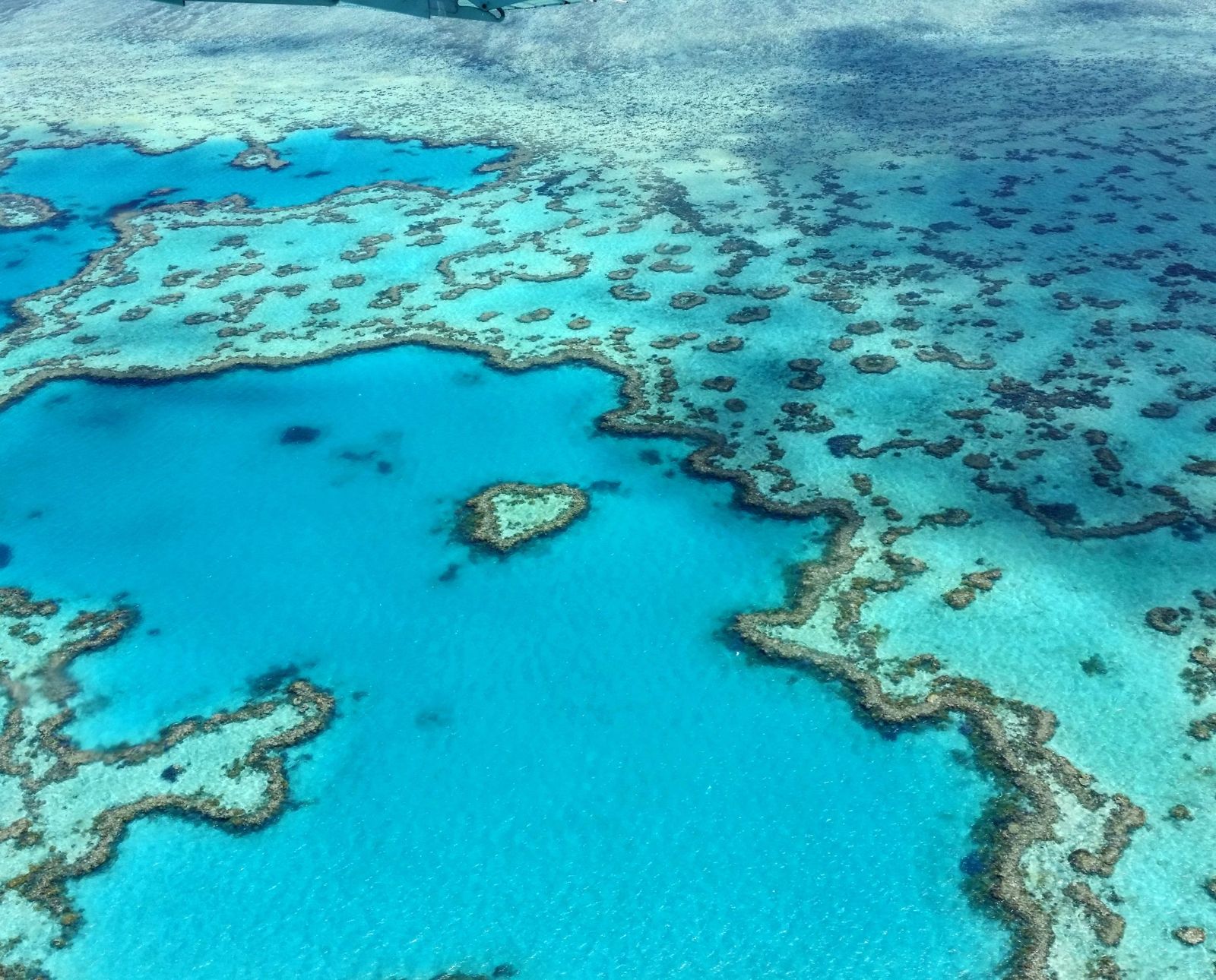 Heart Reef and the surrounding reef flats from the air