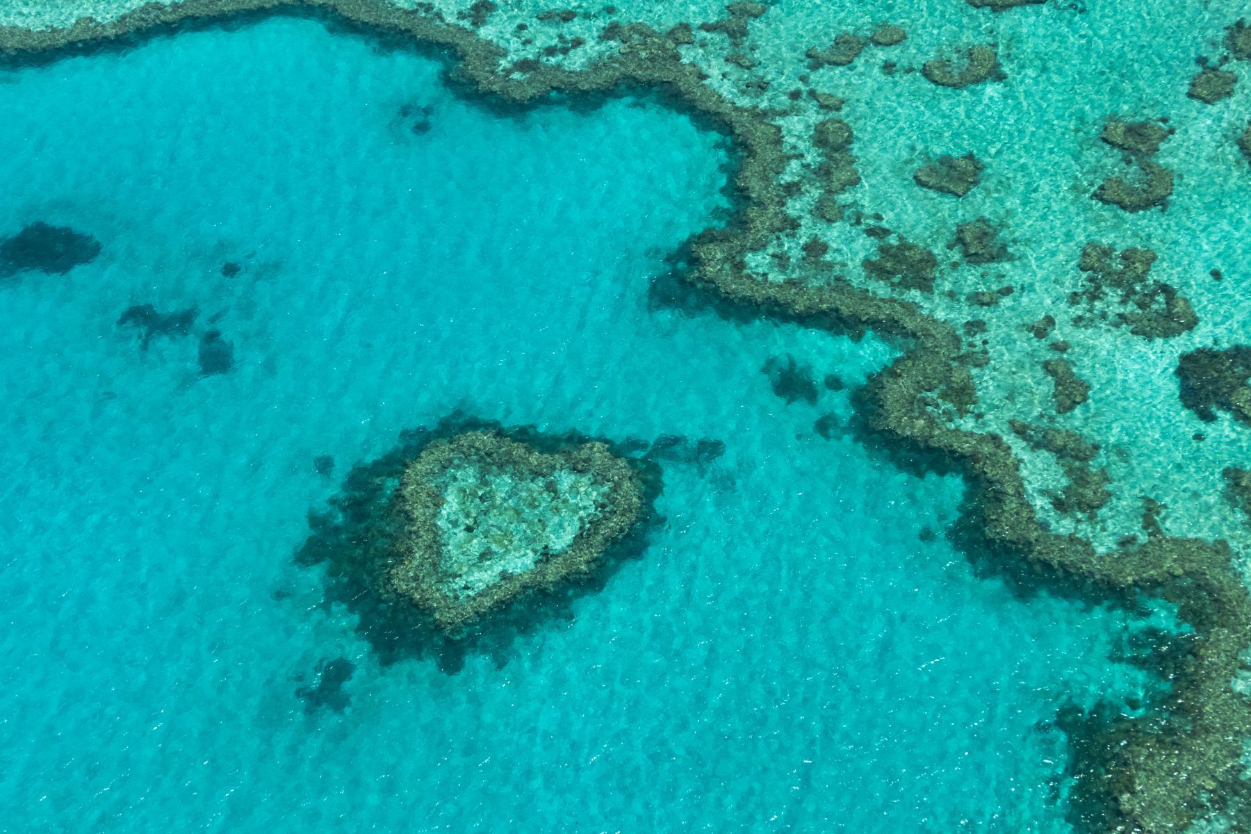 Heart Reef on the Great Barrier Reef from the air