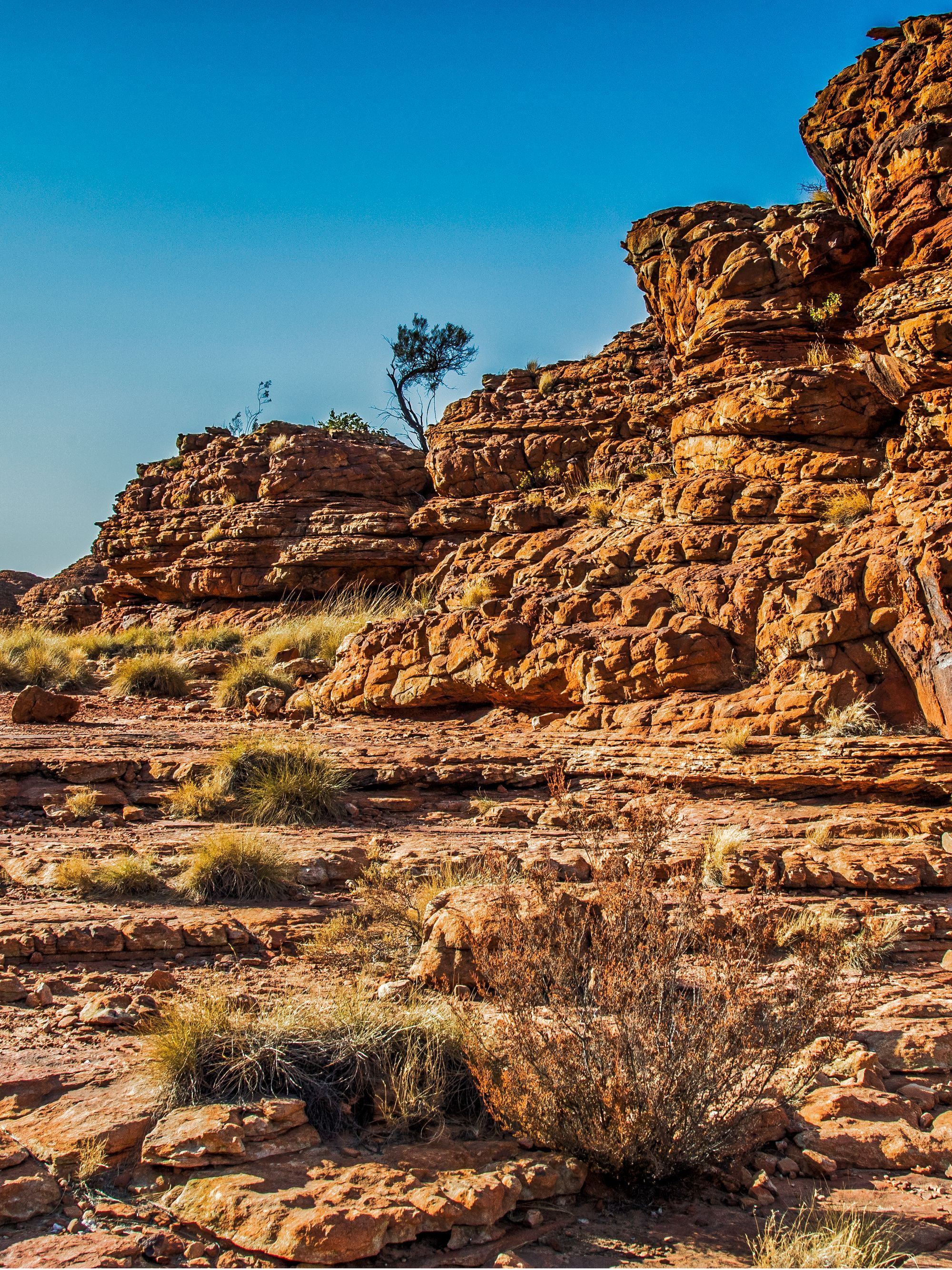 Sandstone walls at Kings Canyon in the Northern Territory