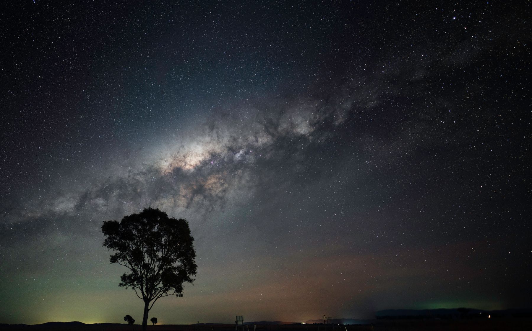 The Milky Way above a lone tree in the bush