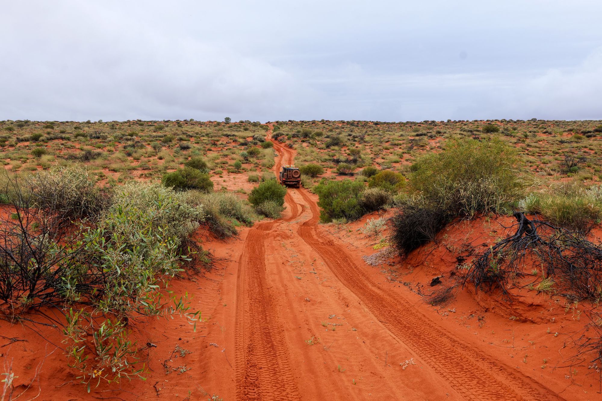 A red sand track through the Australian desert