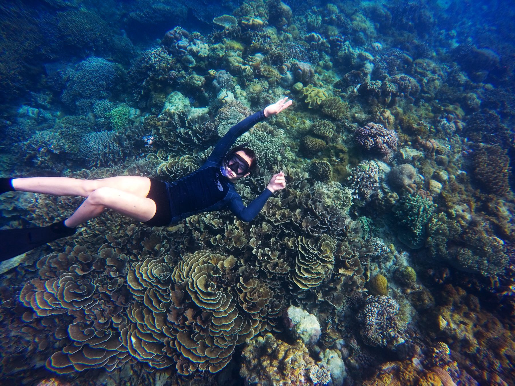 A snorkeller over coral in clear water