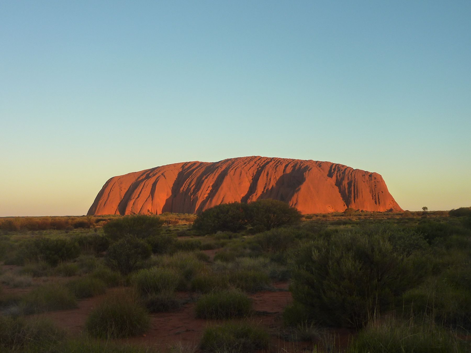 Uluru lit red at sunset