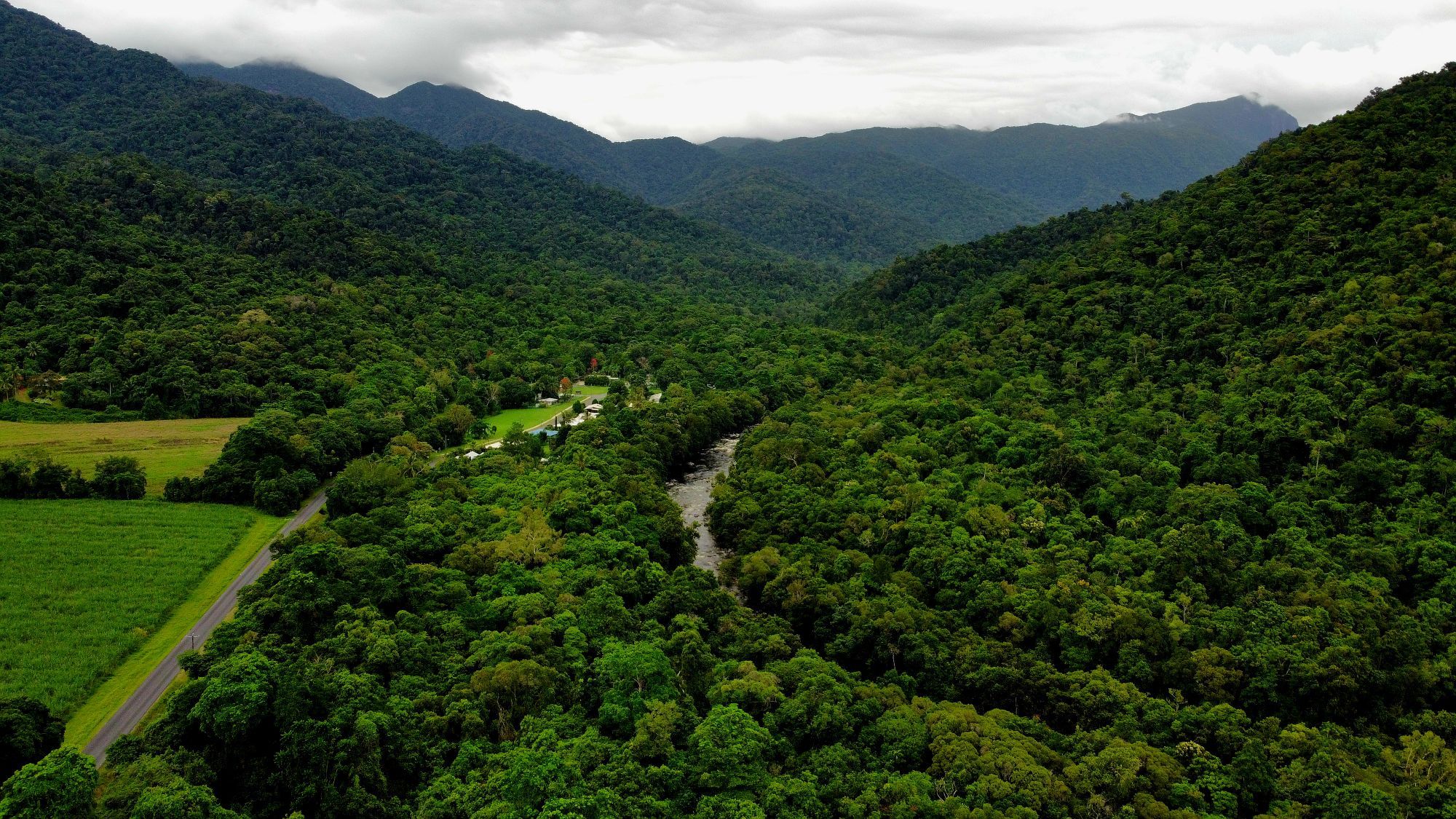 Rainforest-covered ranges and a river valley near Cairns from the air