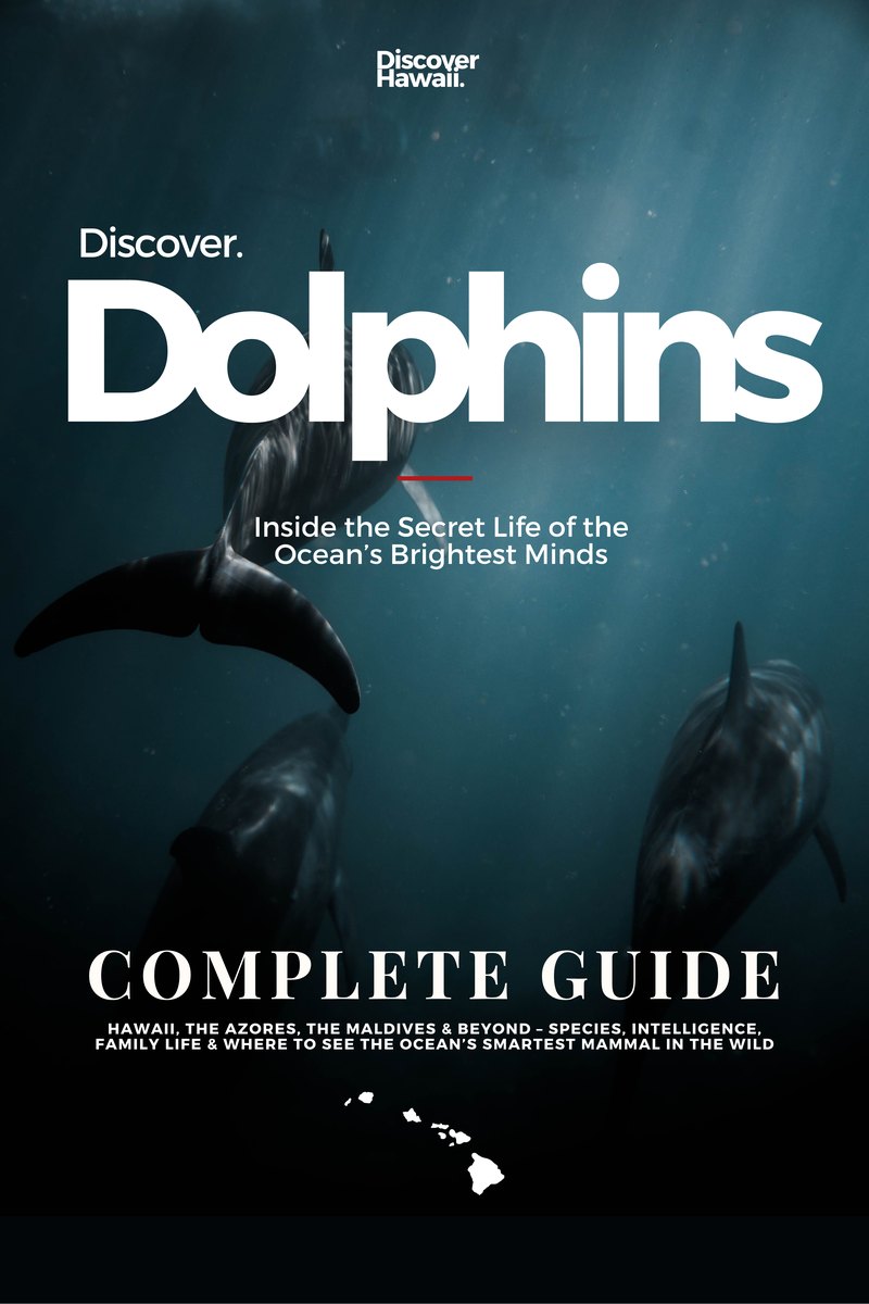 Discover Dolphins, Complete Guide, book cover